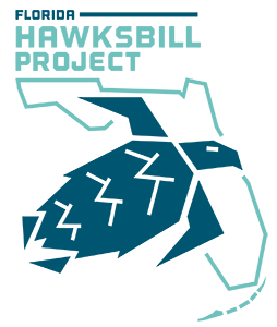 florida hawksbill project